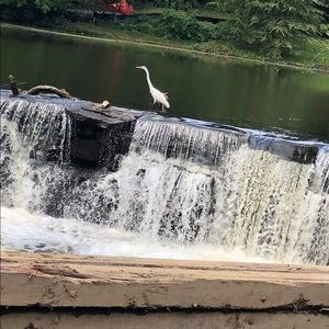 Meet your Posher, Antonio